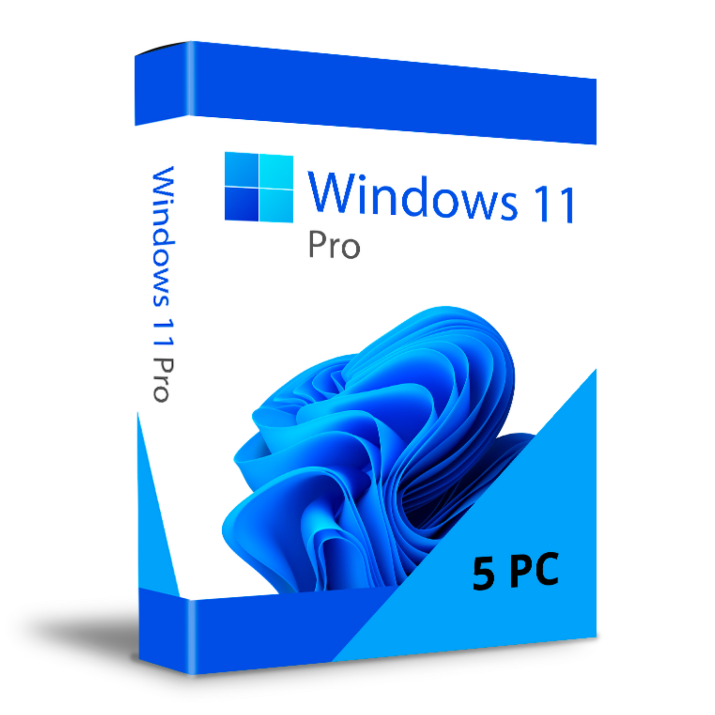 Windows 11 Pro 5 PCs