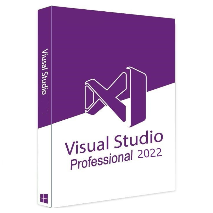Visual Studio 2022 Professional