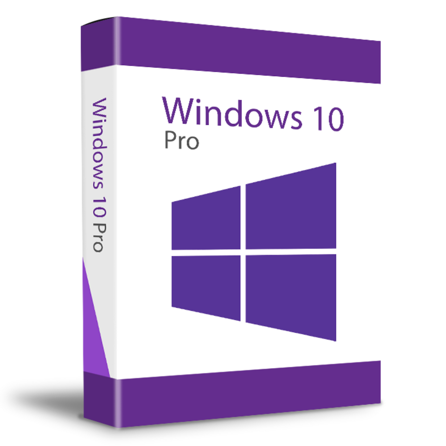 Windows 10 Professionnel OEM