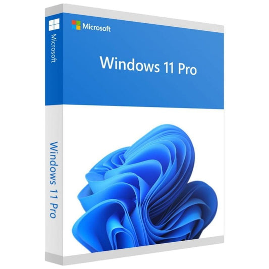 Windows 11 Professionnel OEM